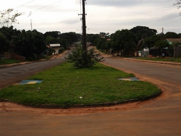 'Canteiro tem grama plantado, sendo praticamente impossível para um cadeirante subir por lá', disse internauta (Foto: Arquivo Pessoal)